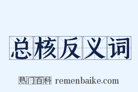 总核反义词是什么意思的图片
